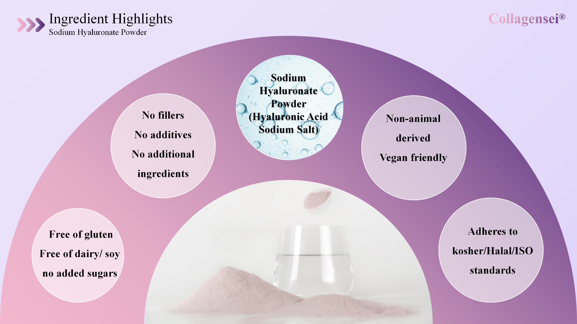 Sodium Hyaluronate Powder