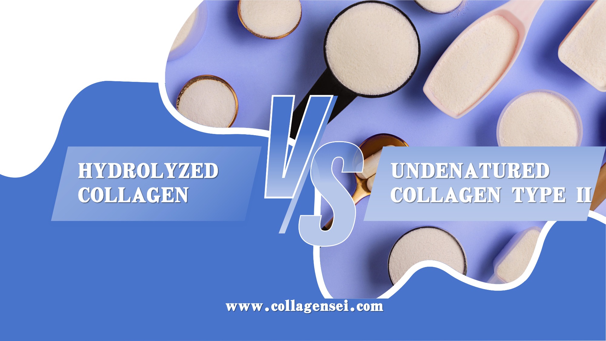 Hydrolyzed collagen VS Undenatured Collagen Type II