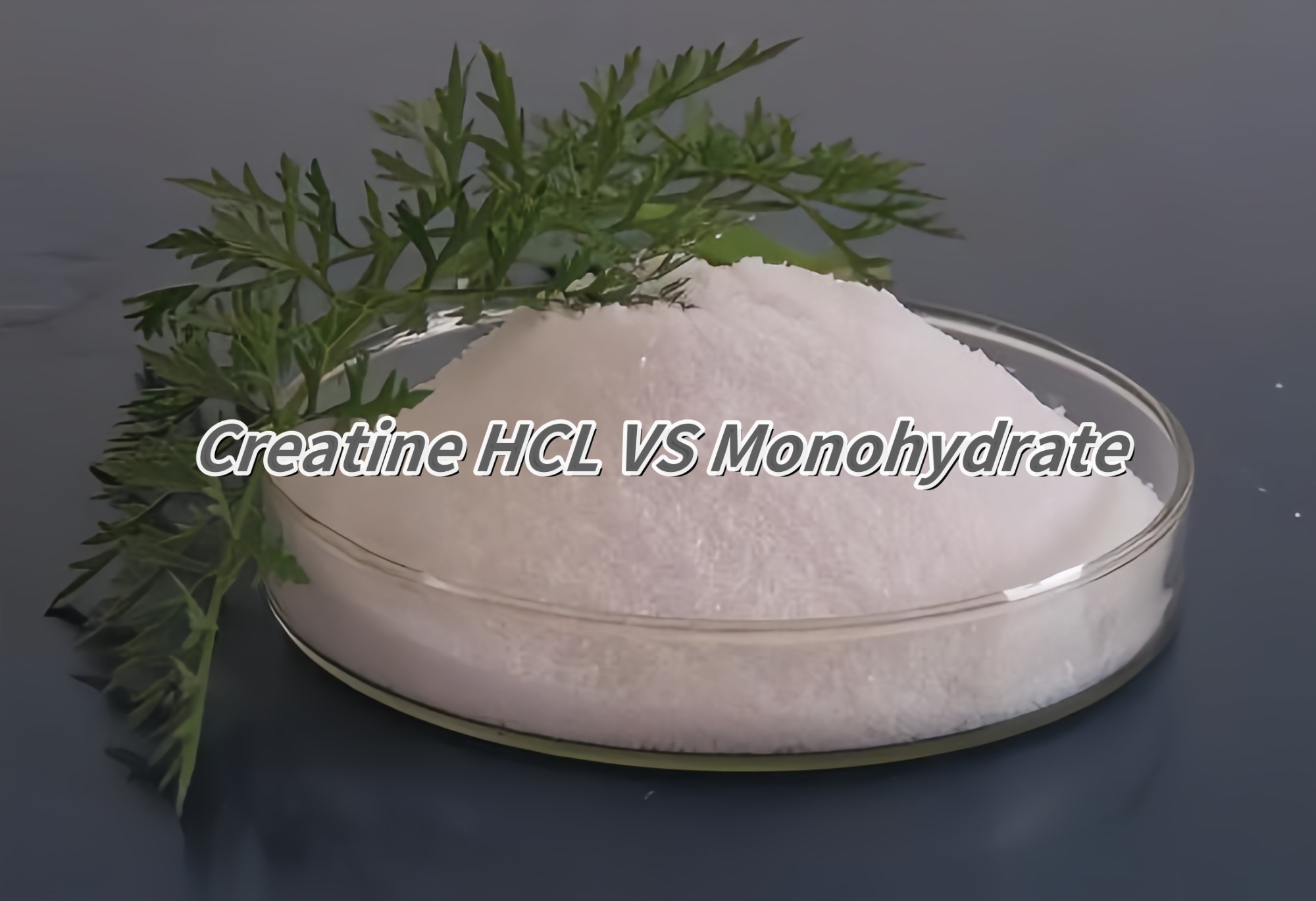 Creatine HCL VS Monohydrate