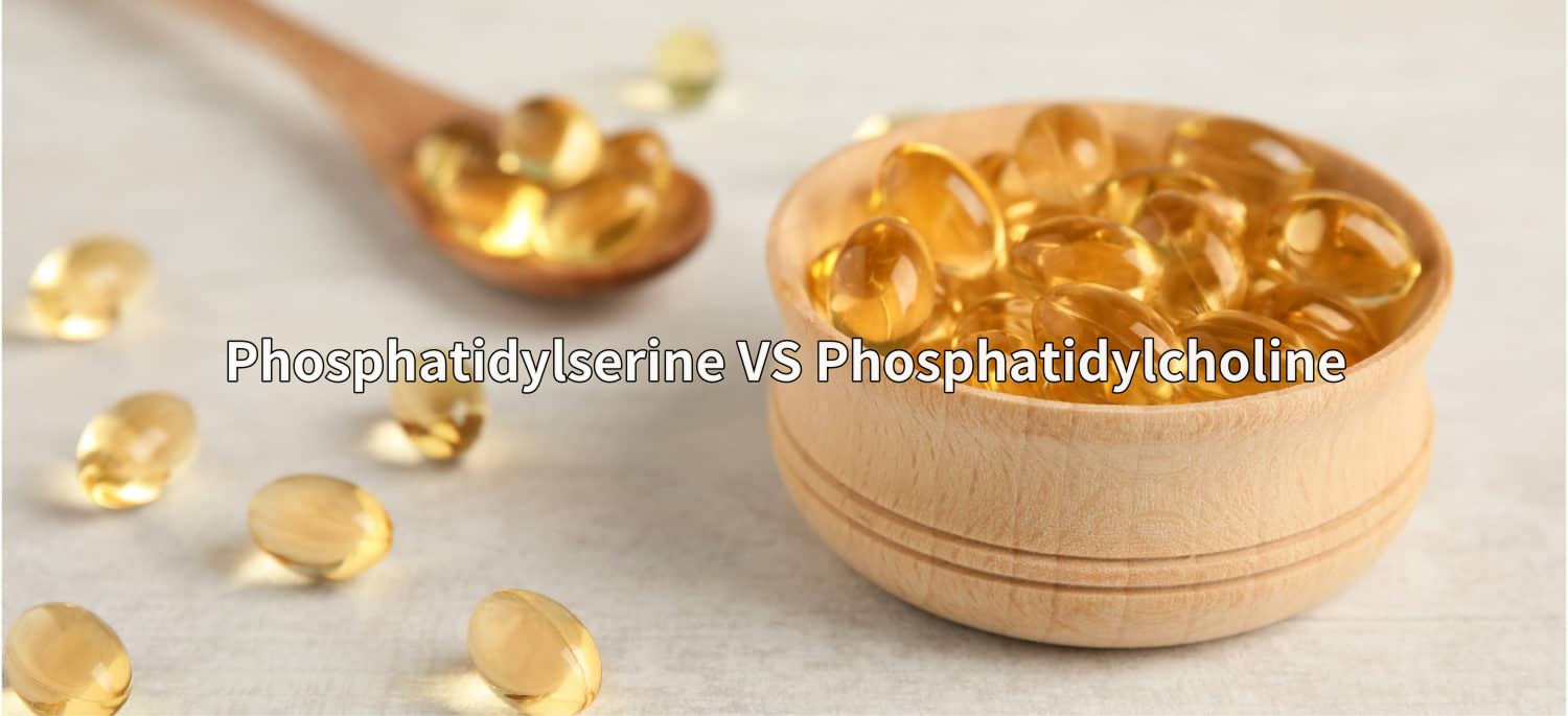 Phosphatidylserine VS Phosphatidylcholine