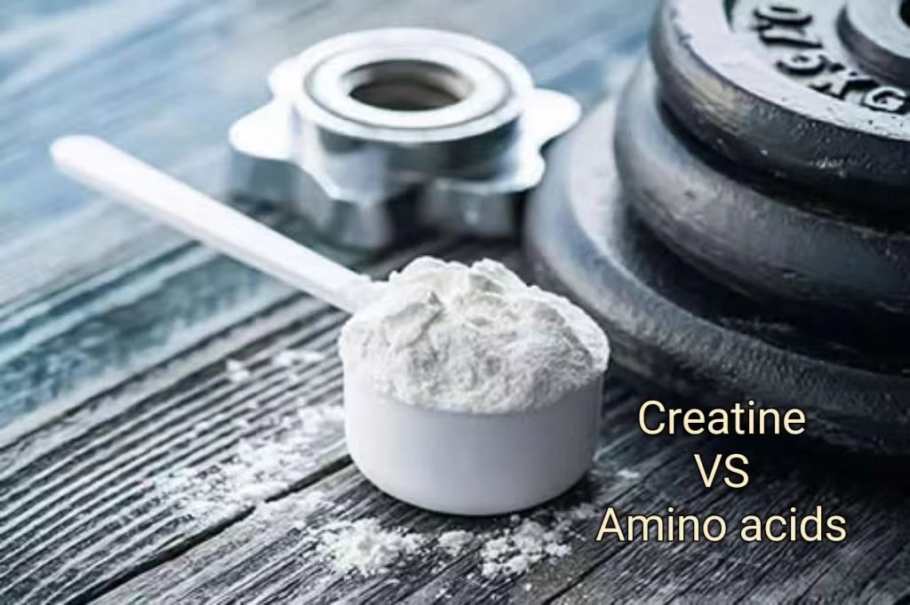 Creatine VS Amino acids