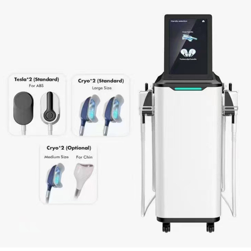 4 Meta EMS Cryolipolysis New Fat Freezing Fat Sculpting 4d Machine