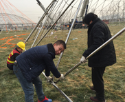 geodesic dome tent