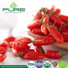 Baies de Goji biologiques de l'UE