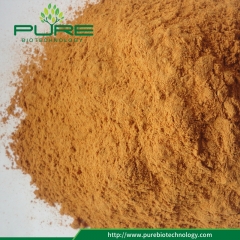 40% Polissacarídeos Goji Berry Extract