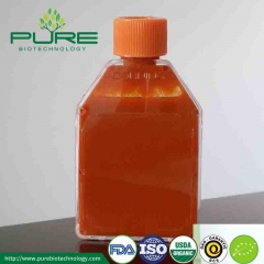 Organic Goji Juice Concentrate