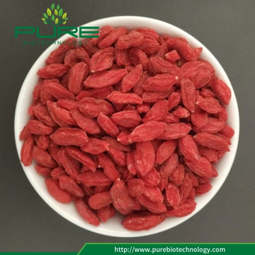 Conventional Dried Goji Berries