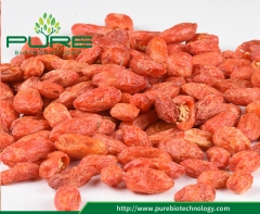 Baies de Goji / mûres rouges lyophilisées