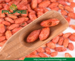 Baies de Goji / mûres rouges lyophilisées