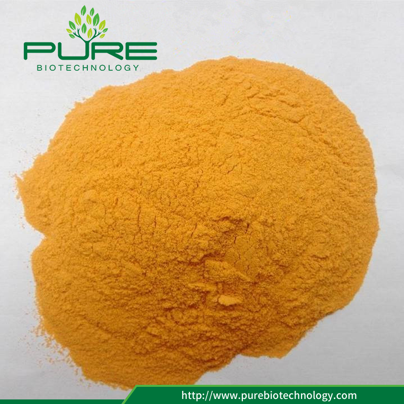 Freeze Dried Sea Buckthorn Powder with No Additives (2)