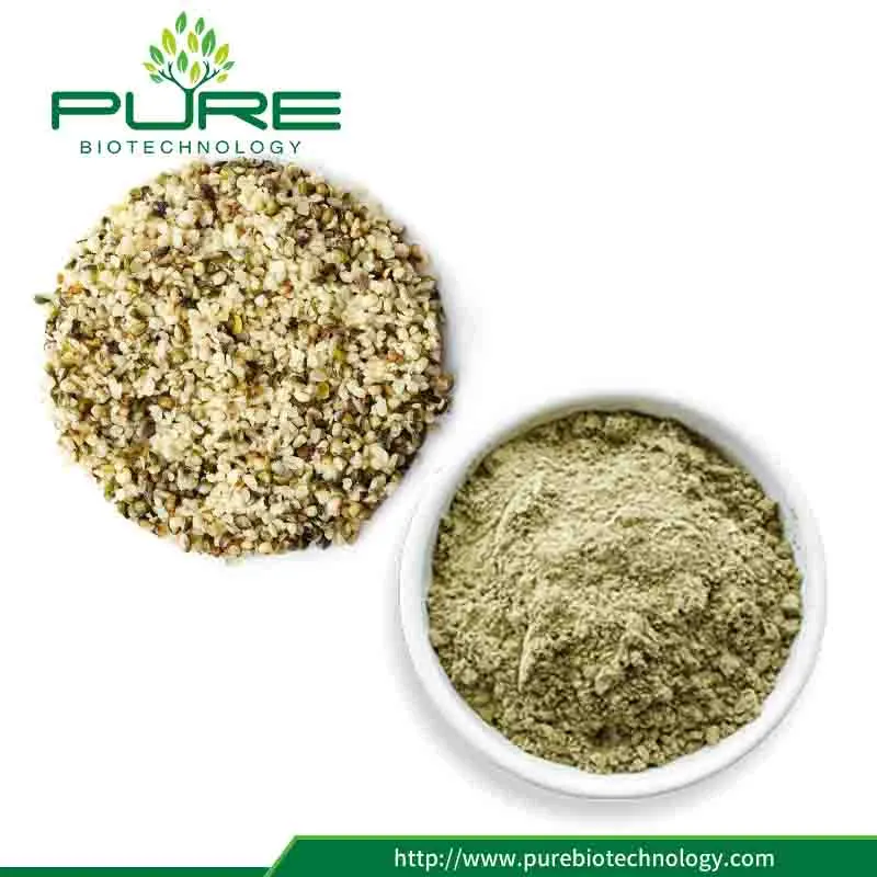 How to Make Protein Powder Taste Good