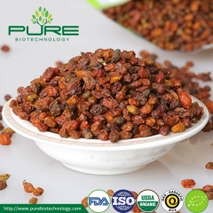 Organic Dried Sea Buckthorn Berries