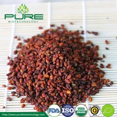 Organic Dried Sea Buckthorn Berries