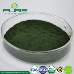 Polvo de espirulina con 60% -65% de proteína