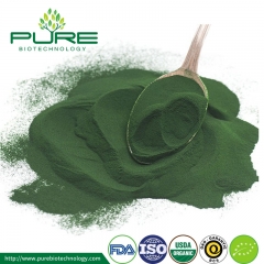 Poudre de chlorella organique à paroi cellulaire brisée