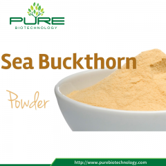 Suco de mar Buckthorn em pó solúvel em água