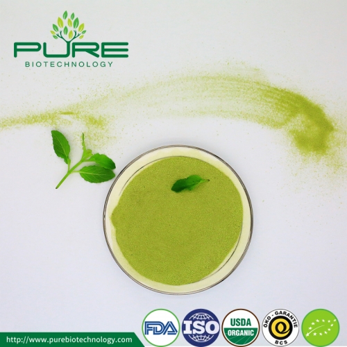 Poudre organique de Matcha / catégorie comestible