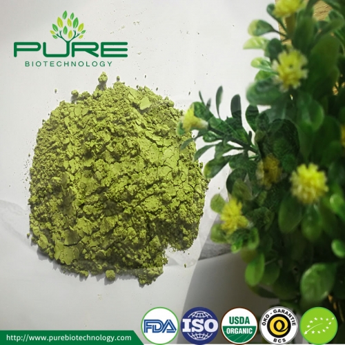 Beverage Grade Matcha Tea Powder