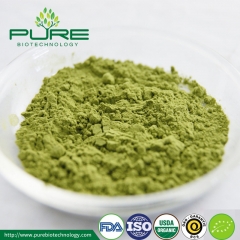 Poudre de thé Matcha de qualité alimentaire