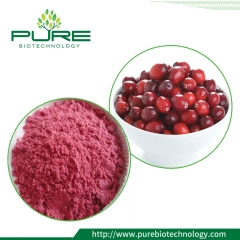 Cranberry Fruit Extract /1%-40% Proanthocyanidins