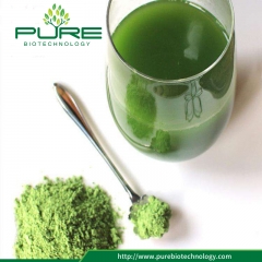 Organic Barley Grass Powder