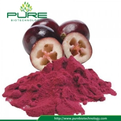 10:1 Cranberry Extract Powder No Irradiation
