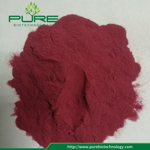 10:1 Cranberry Extract Powder No Irradiation