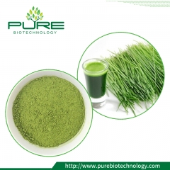 Organic Wheatgrass Powder