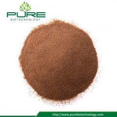 Black Maca Extract Powder