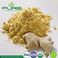 Dehydrated Ginger Powder