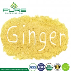 Organic Dried Ginger Powder