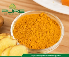 Poudre de curcuma séchée