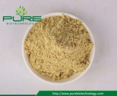 Dehydrated Ginger Powder