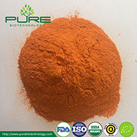 Bio Goji Pulver