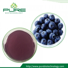 Acai Extract Powder