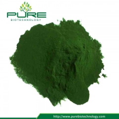 Chlorella em pó