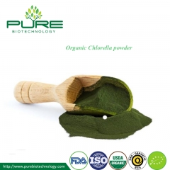 Poudre de chlorella organique à paroi cellulaire brisée