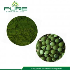 Chlorella Tablet / Cápsula