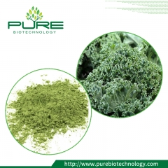 100% Natural Kale Powder