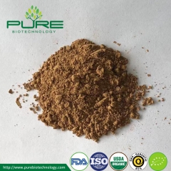 Organic Reishi Powder