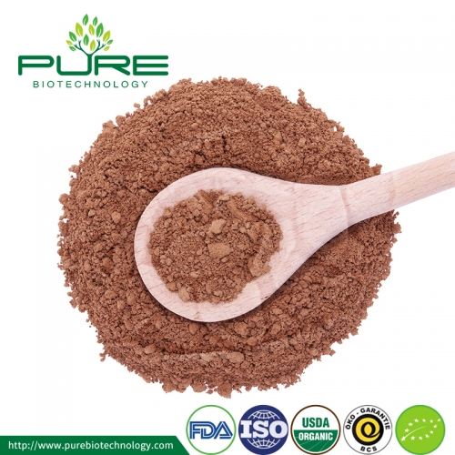 Organic Reishi Powder