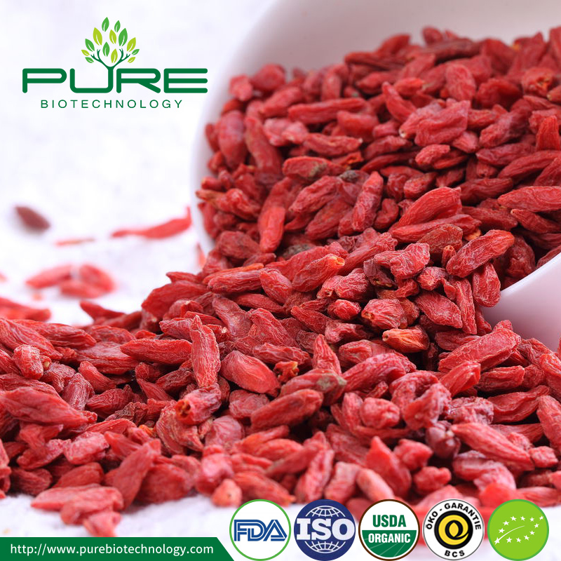 The Historical Background of Goji Berries