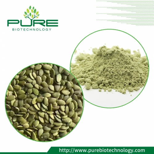 Pumpkin Seed Protein Powder