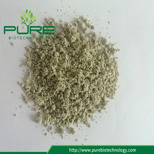 Hemp Seed Protein​ Powder