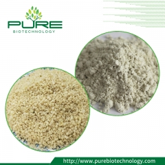 Bio-Hanfprotein-Pulver