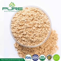 Organic Lion's Mane Powder