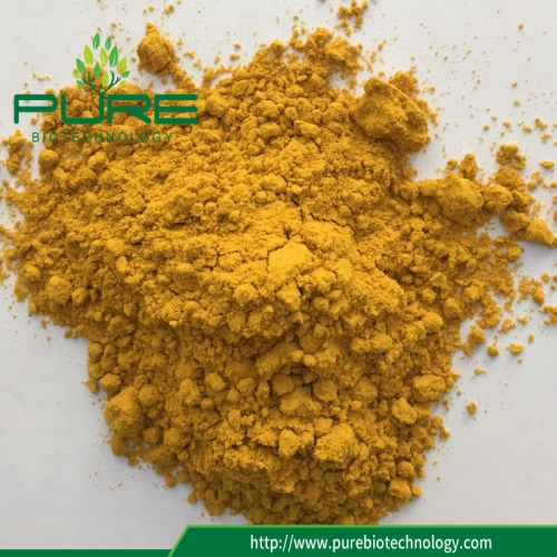 Sea Buckthorn Juice Powder High Water Soluble