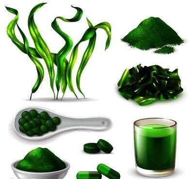 Spirulina Powder Industry and Market Outlook