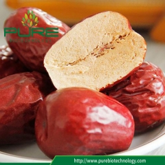 Dried Jujube /Red Dates