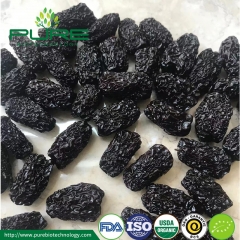 Organic Black Jujube